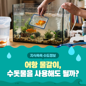 [지식쏙쏙 수도정보] 어항 물갈이, 수돗물을 사용해도 될까?